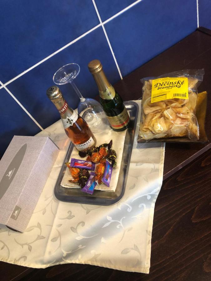Ubytovani V Soukromi Rodinne Vily V Decine Exterior foto